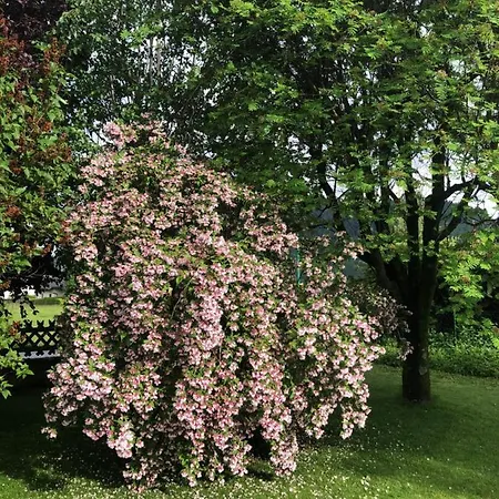 Fruehstueckspension Eichberger 3*