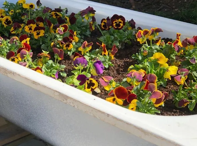 بيت ضيافة Fruehstueckspension Eichberger