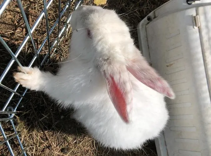 Fruehstueckspension Eichberger