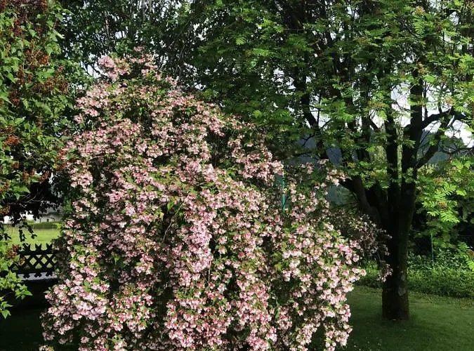 Fruehstueckspension Eichberger 3*