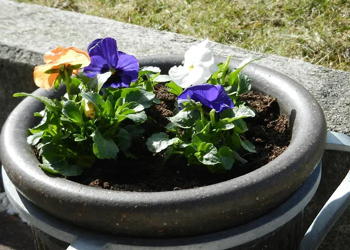 بيت ضيافة Fruehstueckspension Eichberger