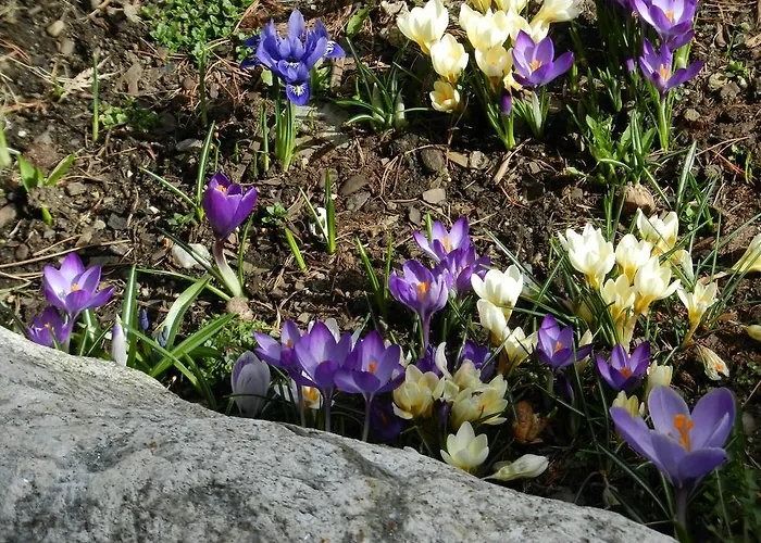 Fruehstueckspension Eichberger Penzion